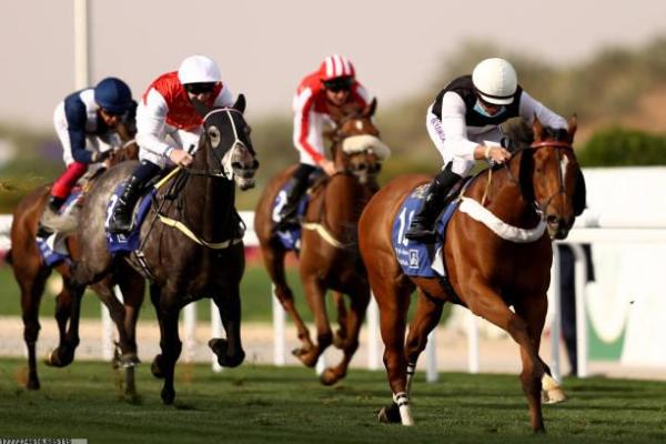 体育课排山倒体育项目(图1)